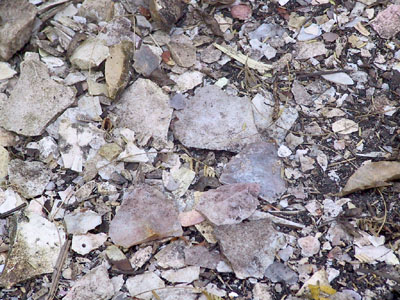 Pieces of chert