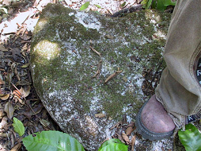 Chultun Lid