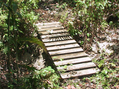 Bridge