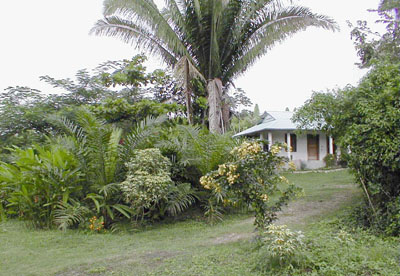 Caretaker's garden