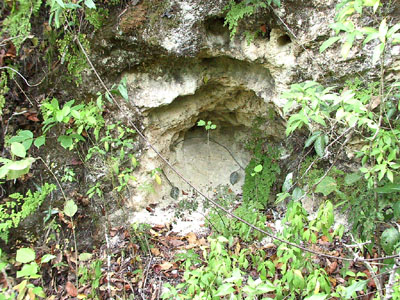 Limestone Quarry
