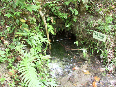 Natural Spring