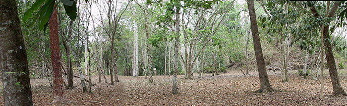 Pan View of Plaza Copal