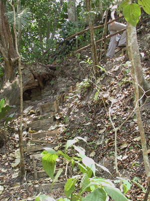 Stairway to Lookout