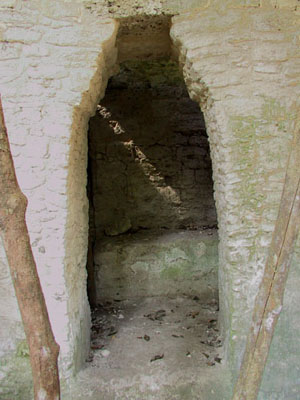 Maya Door Vault