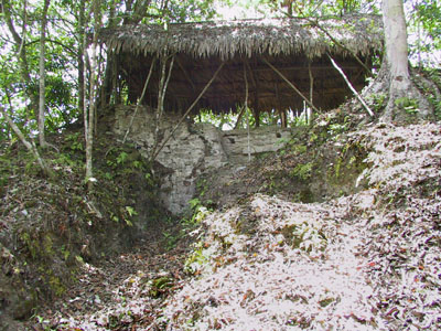 Xamanaj