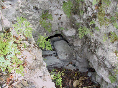 Looter's Trench