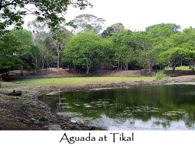 Aguada at Tikal